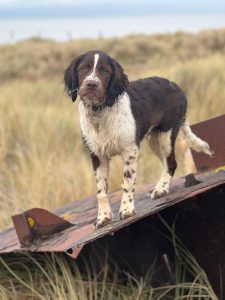 WhatsApp Image 2025-12-03 at 16.01.12 (2)