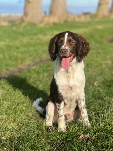 WhatsApp Image 2025-12-03 at 16.01.12