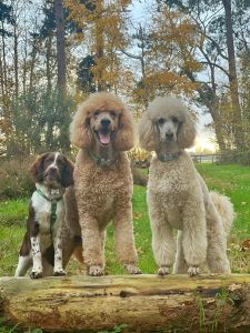 WhatsApp Image 2025-12-03 at 16.01.12 (3)