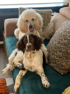 WhatsApp Image 2025-12-03 at 16.01.13 (1)