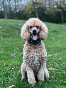 WhatsApp Image 2025-12-03 at 16.01.13 (2)