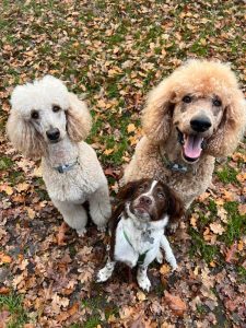 WhatsApp Image 2025-12-03 at 16.01.13