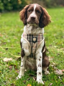 WhatsApp Image 2025-12-03 at 16.01.13 (3)