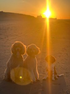 WhatsApp Image 2025-12-03 at 16.01.13 (4)