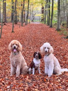 WhatsApp Image 2025-12-03 at 16.01.13 (7)