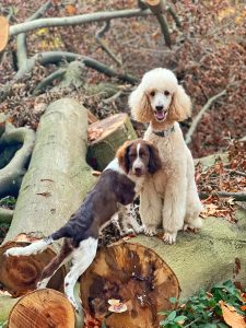 WhatsApp Image 2025-12-03 at 16.01.14 (1)