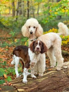 WhatsApp Image 2025-12-03 at 16.01.14