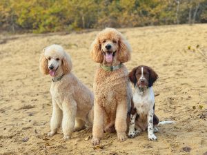 WhatsApp Image 2025-12-03 at 16.01.14 (3)