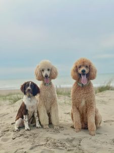 WhatsApp Image 2025-12-03 at 16.01.14 (4)